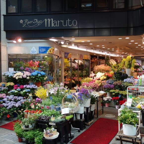 「マルト花店」　（京都府京都市伏見区）の花屋店舗写真1