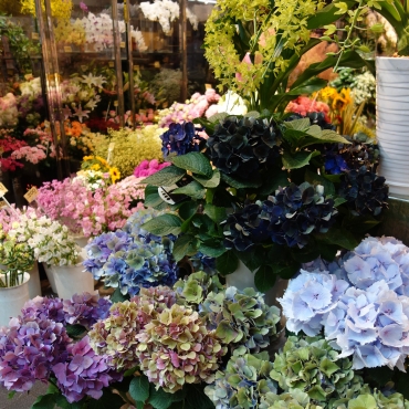 「マルト花店」　（京都府京都市伏見区）の花屋店舗写真2