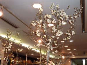 苔梅｜「マルト花店」　（京都府京都市伏見区の花キューピット加盟店 花屋）のブログ